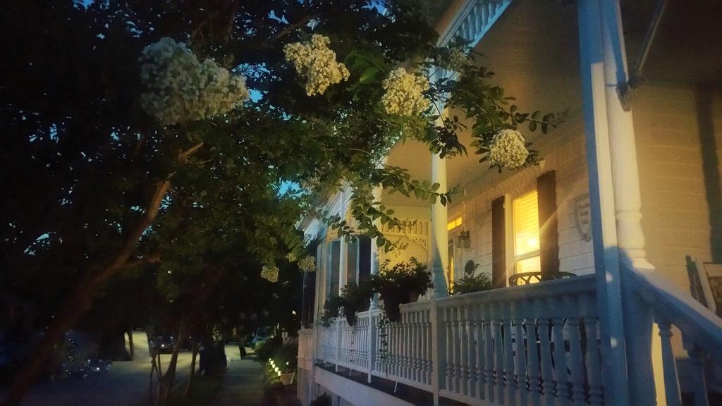 Pecan Tree Inn โบฟอร์ต ภายนอก รูปภาพ