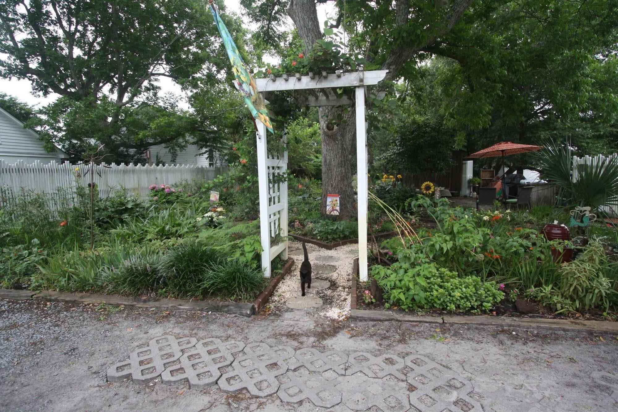 Pecan Tree Inn โบฟอร์ต ภายนอก รูปภาพ